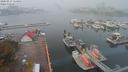 ./images/victoria/wharf/20200913/wharf20200913_115951.jpg