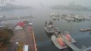 ./images/victoria/wharf/20200913/wharf20200913_142950.jpg