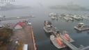 ./images/victoria/wharf/20200914/wharf20200914_125732.jpg