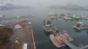 ./images/victoria/wharf/20200914/wharf20200914_132952.jpg