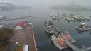 ./images/victoria/wharf/20200914/wharf20200914_144950.jpg