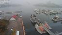./images/victoria/wharf/20200914/wharf20200914_150951.jpg