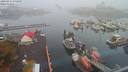 ./images/victoria/wharf/20200916/wharf20200916_072949.jpg