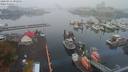 ./images/victoria/wharf/20200916/wharf20200916_092953.jpg