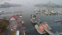 ./images/victoria/wharf/20200916/wharf20200916_131912.jpg