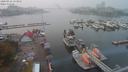 ./images/victoria/wharf/20200916/wharf20200916_152927.jpg