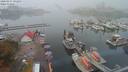 ./images/victoria/wharf/20200917/wharf20200917_102454.jpg