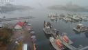 ./images/victoria/wharf/20200917/wharf20200917_102957.jpg