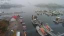 ./images/victoria/wharf/20200917/wharf20200917_112954.jpg