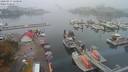 ./images/victoria/wharf/20200917/wharf20200917_120950.jpg