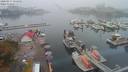 ./images/victoria/wharf/20200917/wharf20200917_121452.jpg