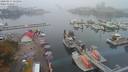./images/victoria/wharf/20200917/wharf20200917_121955.jpg