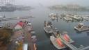 ./images/victoria/wharf/20200917/wharf20200917_124952.jpg