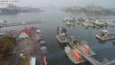 ./images/victoria/wharf/20200917/wharf20200917_130954.jpg