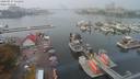 ./images/victoria/wharf/20200917/wharf20200917_132453.jpg