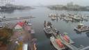 ./images/victoria/wharf/20200918/wharf20200918_111451.jpg