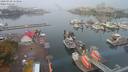 ./images/victoria/wharf/20200918/wharf20200918_113955.jpg