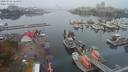 ./images/victoria/wharf/20200918/wharf20200918_114952.jpg