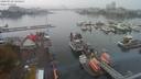 ./images/victoria/wharf/20200918/wharf20200918_145452.jpg