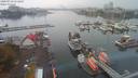 ./images/victoria/wharf/20200918/wharf20200918_151454.jpg