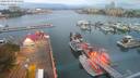 ./images/victoria/wharf/20200919/wharf20200919_064952.jpg