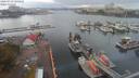 ./images/victoria/wharf/20200919/wharf20200919_100452.jpg