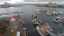 ./images/victoria/wharf/20200919/wharf20200919_101458.jpg