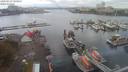 ./images/victoria/wharf/20200919/wharf20200919_102957.jpg
