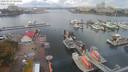./images/victoria/wharf/20200919/wharf20200919_104950.jpg