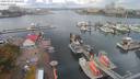 ./images/victoria/wharf/20200919/wharf20200919_105453.jpg