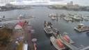 ./images/victoria/wharf/20200919/wharf20200919_111957.jpg