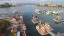 ./images/victoria/wharf/20200921/wharf20200921_115449.jpg