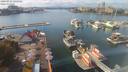 ./images/victoria/wharf/20200921/wharf20200921_141958.jpg