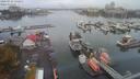 ./images/victoria/wharf/20200923/wharf20200923_142956.jpg