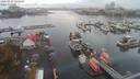 ./images/victoria/wharf/20200923/wharf20200923_144959.jpg