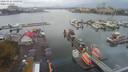 ./images/victoria/wharf/20200924/wharf20200924_142952.jpg