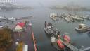 ./images/victoria/wharf/20200925/wharf20200925_074949.jpg