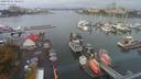 ./images/victoria/wharf/20200926/wharf20200926_105457.jpg