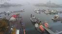 ./images/victoria/wharf/20200926/wharf20200926_135956.jpg