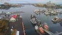 ./images/victoria/wharf/20200927/wharf20200927_085455.jpg