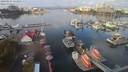 ./images/victoria/wharf/20200927/wharf20200927_111954.jpg