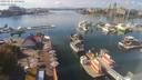 ./images/victoria/wharf/20200927/wharf20200927_141451.jpg