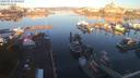 ./images/victoria/wharf/20200929/wharf20200929_081953.jpg