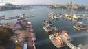 ./images/victoria/wharf/20200930/wharf20200930_141455.jpg