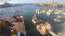 ./images/victoria/wharf/20201020/wharf20201020_135954.jpg