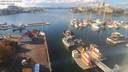 ./images/victoria/wharf/20201022/wharf20201022_135955.jpg