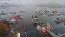 ./images/victoria/wharf/20201023/wharf20201023_135954.jpg