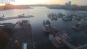 ./images/victoria/wharf/20201024/wharf20201024_175958.jpg