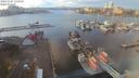 ./images/victoria/wharf/20201107/wharf20201107_135955.jpg