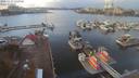 ./images/victoria/wharf/20201115/wharf20201115_135955.jpg
